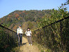 P1010354_thumb.jpg