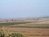 pb032562_thumb.jpg