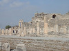 pb042784_thumb.jpg