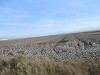 pb042897_thumb.jpg