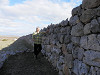pb073496_thumb.jpg