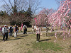 p3090076_thumb.jpg