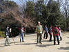 p3090084_thumb.jpg