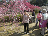 p3090093_thumb.jpg