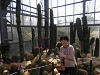 p3090103_thumb.jpg