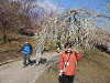 p3080013_thumb.jpg