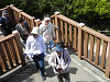 p5100012_thumb.jpg