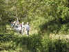 p9130012_thumb.jpg