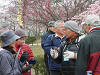 p3140029_thumb.jpg