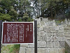 p5090027_thumb.jpg