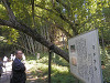 pa160072_thumb.jpg