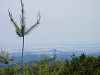 p5140024_thumb.jpg