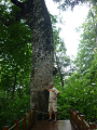 P1000437_thumb.png