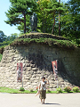 P1000564_thumb.png
