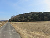 img_3387_thumb.jpg