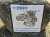 img_4367_thumb.jpg