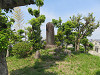 img_6129_thumb.jpg