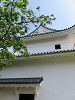 img_7909_thumb.jpg