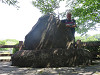 img_7955_thumb.jpg