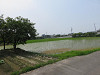 img_8111_thumb.jpg