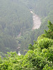 img_8178_thumb.jpg