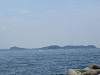 img_8316_thumb.jpg