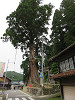 img_8666_thumb.jpg