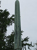 img_8812_thumb.jpg