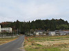 img_2294_thumb.jpg