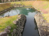img_4567_thumb.jpg