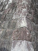 img_4633_thumb.jpg