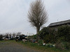 img_4891_thumb.jpg