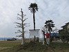 img_4903_thumb.jpg