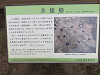img_5621_thumb.jpg