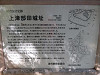 img_6018_thumb.jpg