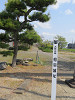 img_8018_thumb.jpg