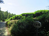 img_8349_thumb.jpg