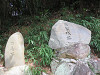img_9870_thumb.jpg