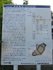 img_0166_thumb.jpg