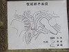 img_0081_thumb.jpg