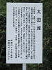 img_0005_thumb.jpg