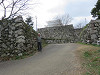 img_0153_thumb.jpg