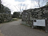 img_0159_thumb.jpg
