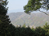 img_0117_thumb.jpg