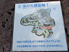 img_0346_thumb.jpg