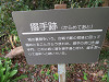 img_0103_thumb.jpg