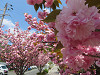 img_0116_thumb.jpg