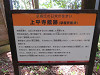 img_0098_thumb.jpg