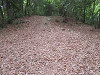 img_0158_thumb.jpg