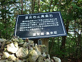 P1000596_thumb.jpg